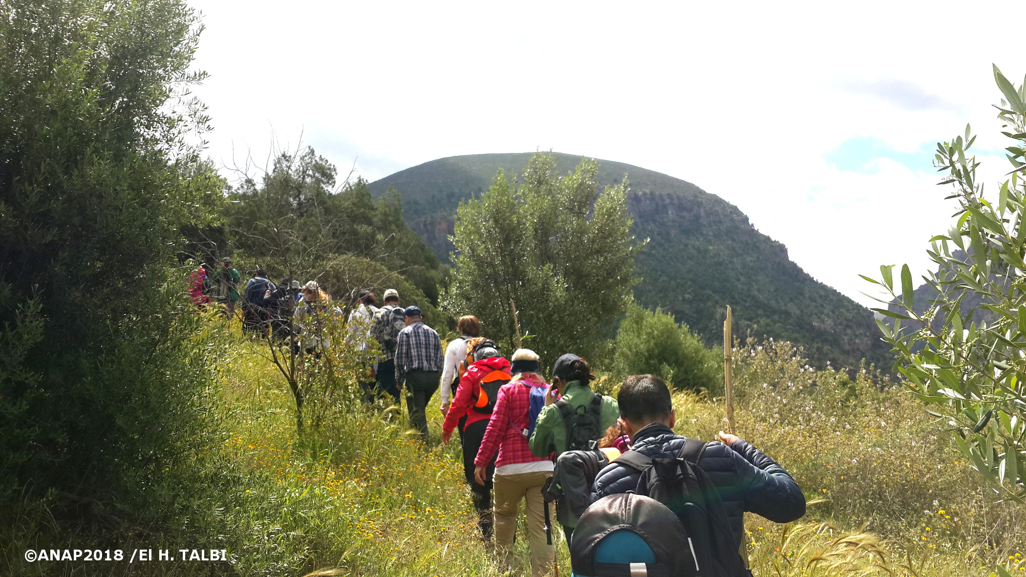 La v�g�tation luxuriante de la vall�e