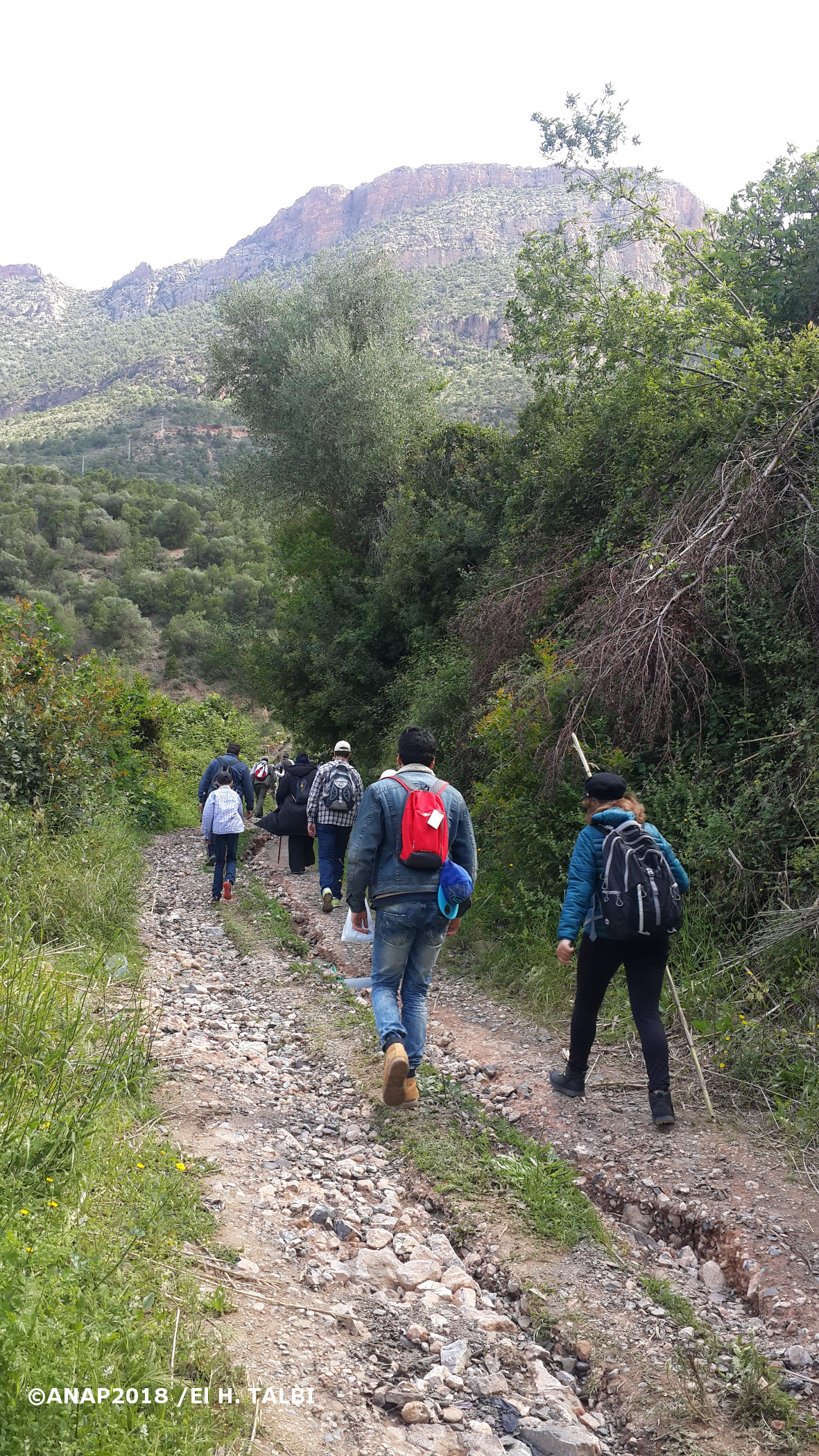 Les premiers pas entre les n�fliers