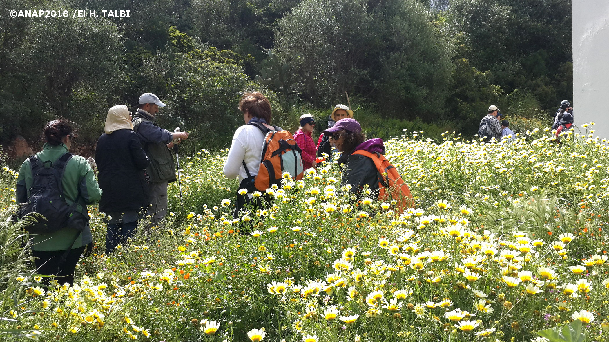 Randonn�e de Zegzel 2018