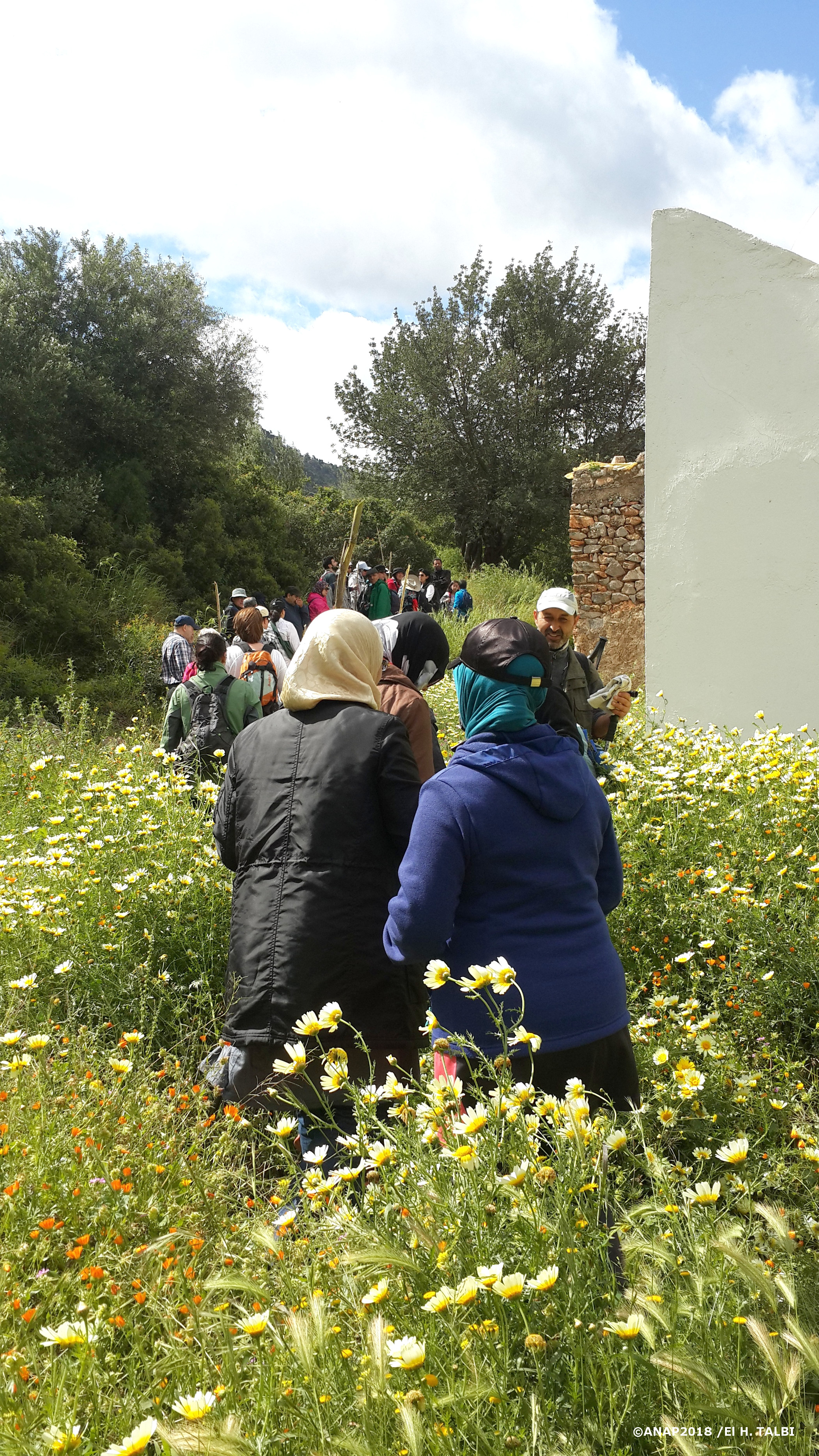 Environs du Sidi A.J.
