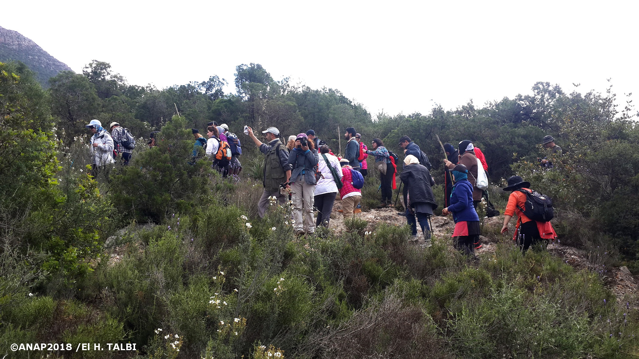 Au sein du milieu naturel domin� par le Thuya et le Lentisque