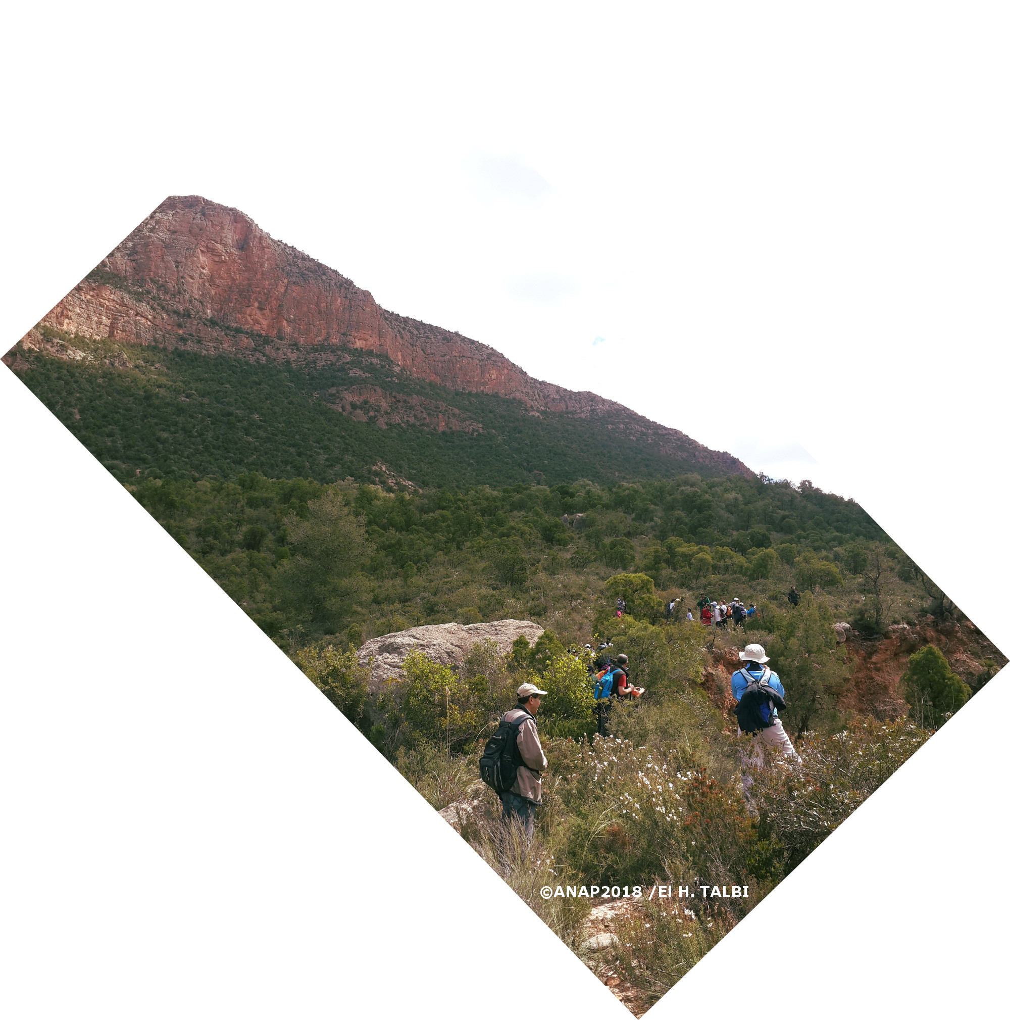 Marche en pente/Marche libre