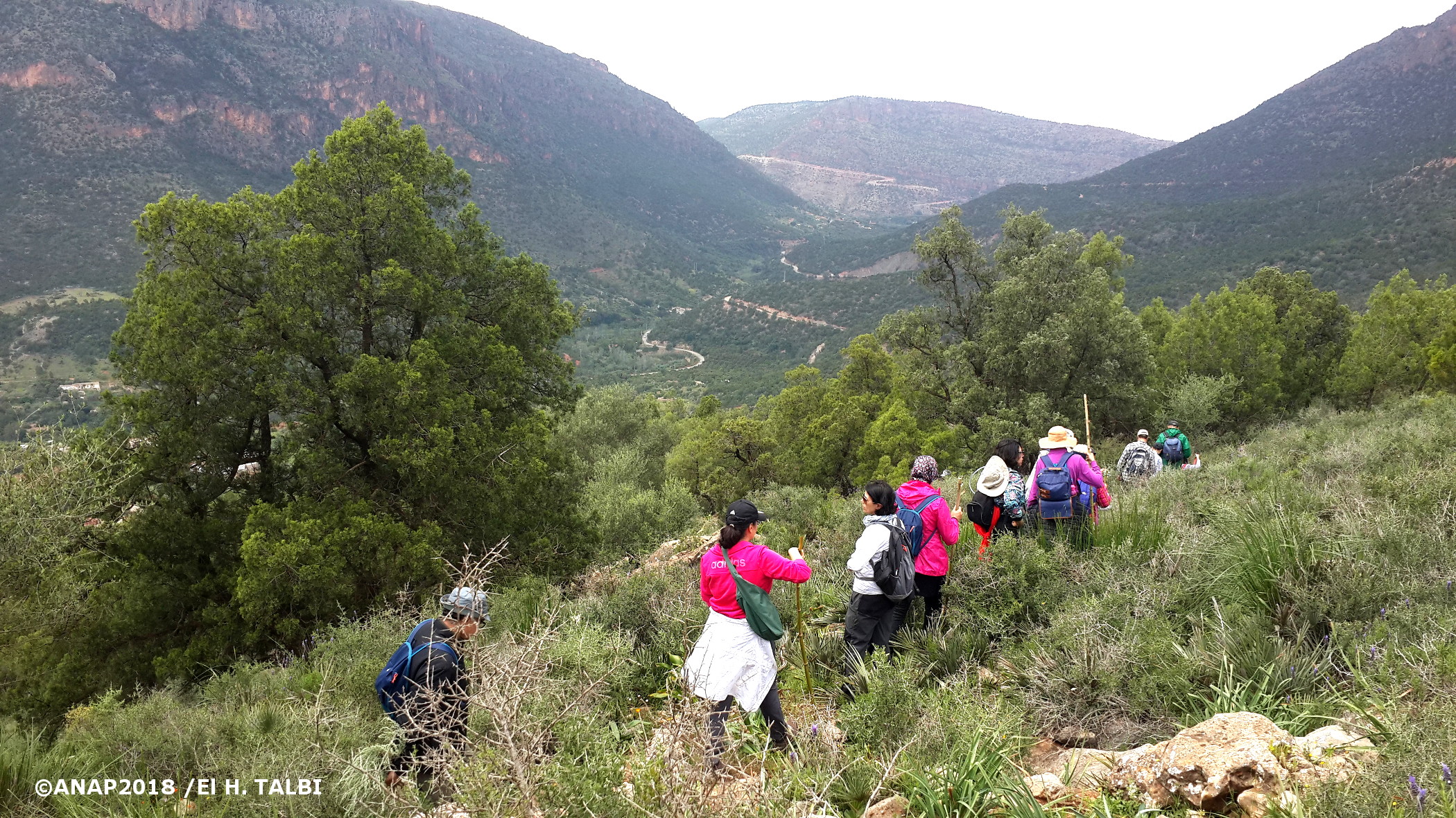 Descente vers l'Oued