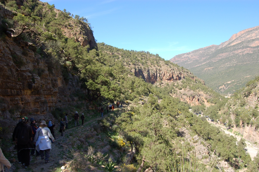 Rando 8 mars 2009 : 3