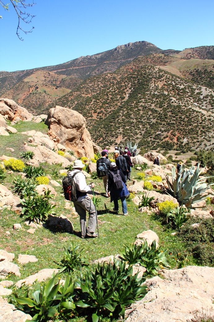 Rando 20 mars 2011 _ 4