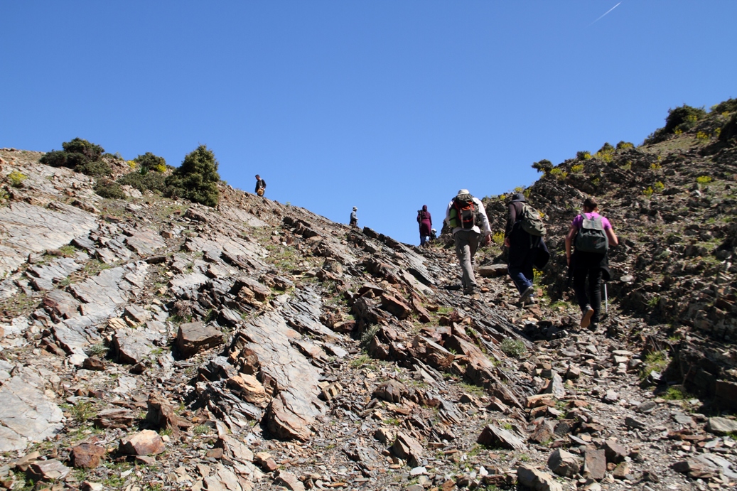 Rando du 20 mars 2011_5