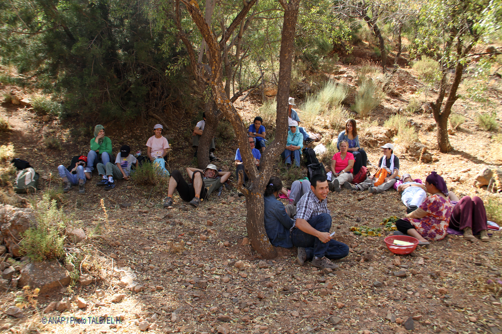 Pause d�jeuner � l'ombre du thuya et des amandiers