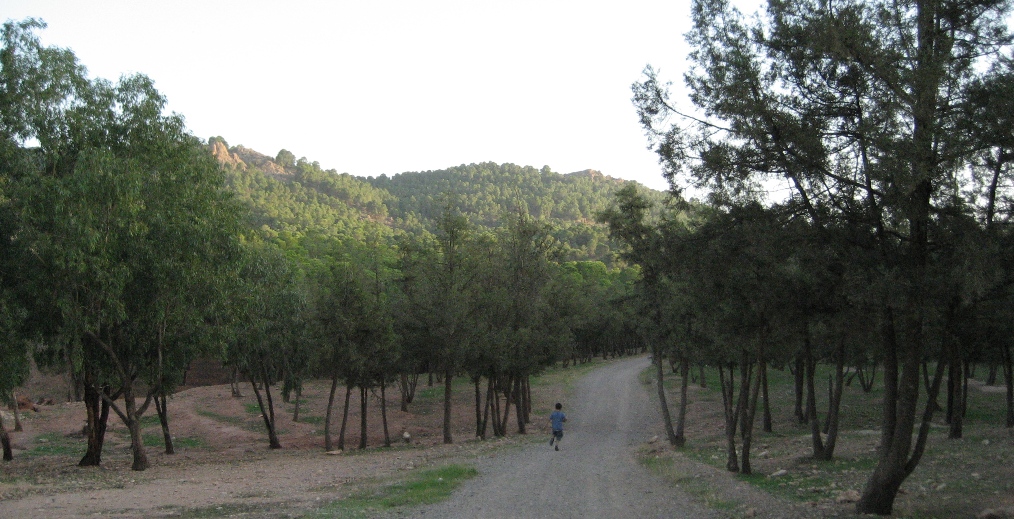 Chemin � Jbel Hamra
