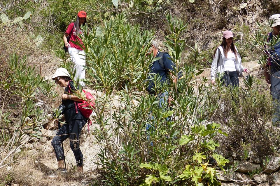 Paysages de Ouartass