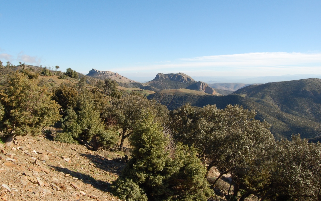 For�t B�ni Snassen