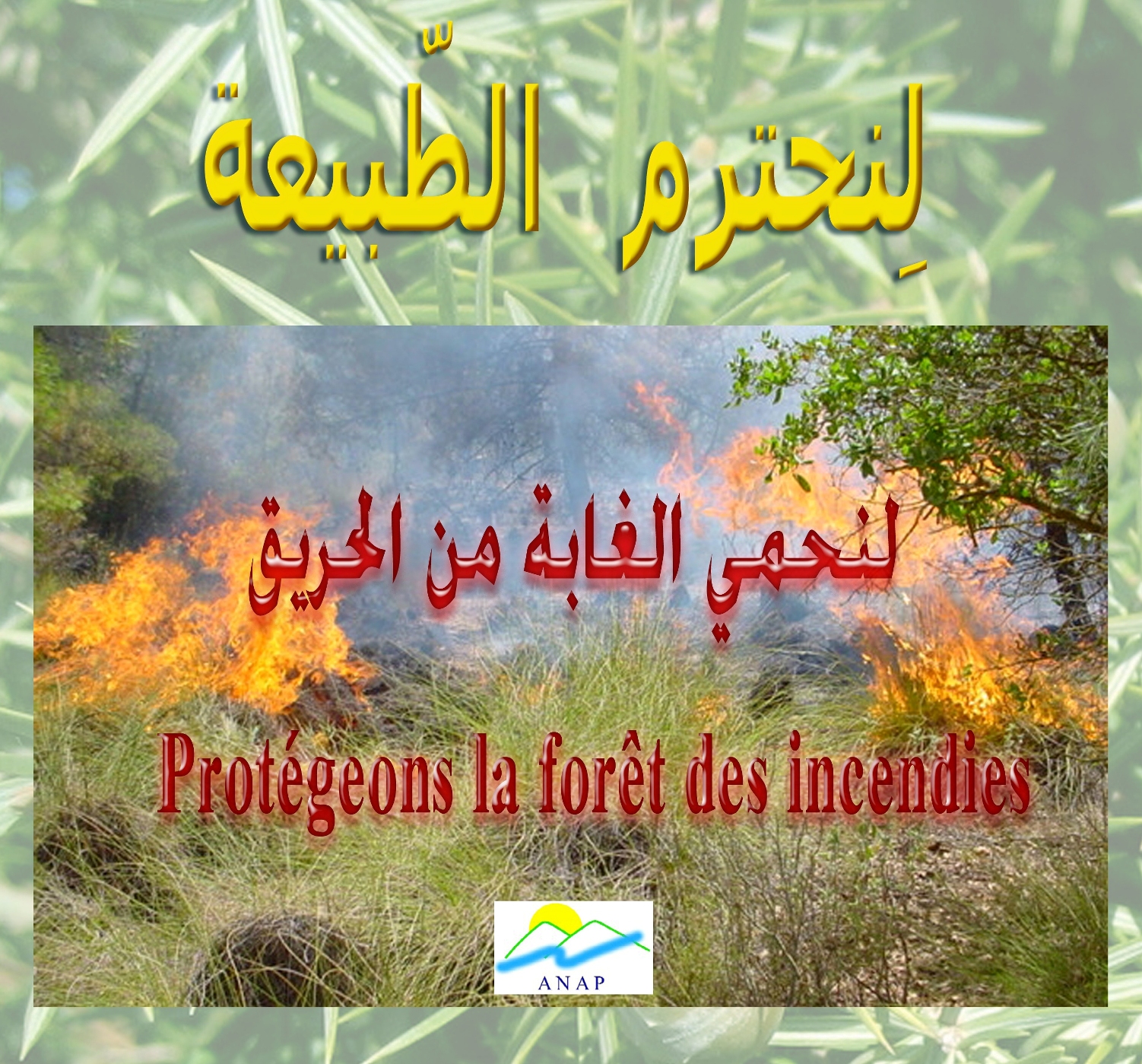 Sensibilisation - Feu