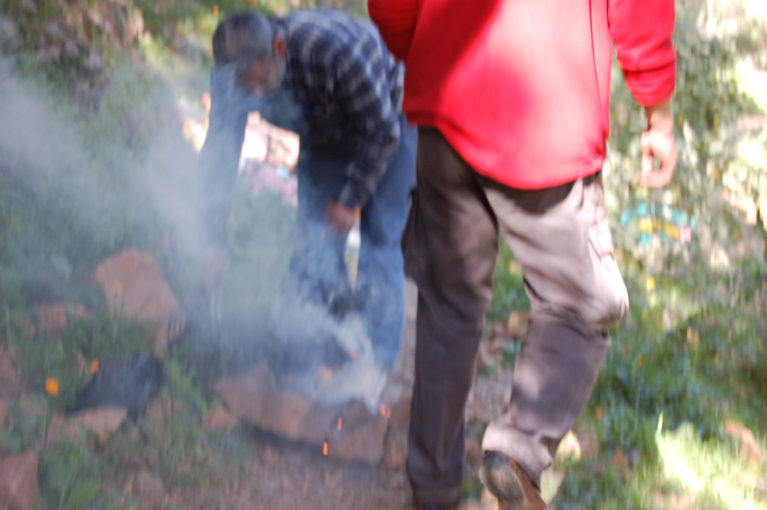 Feu en plein for�t 1