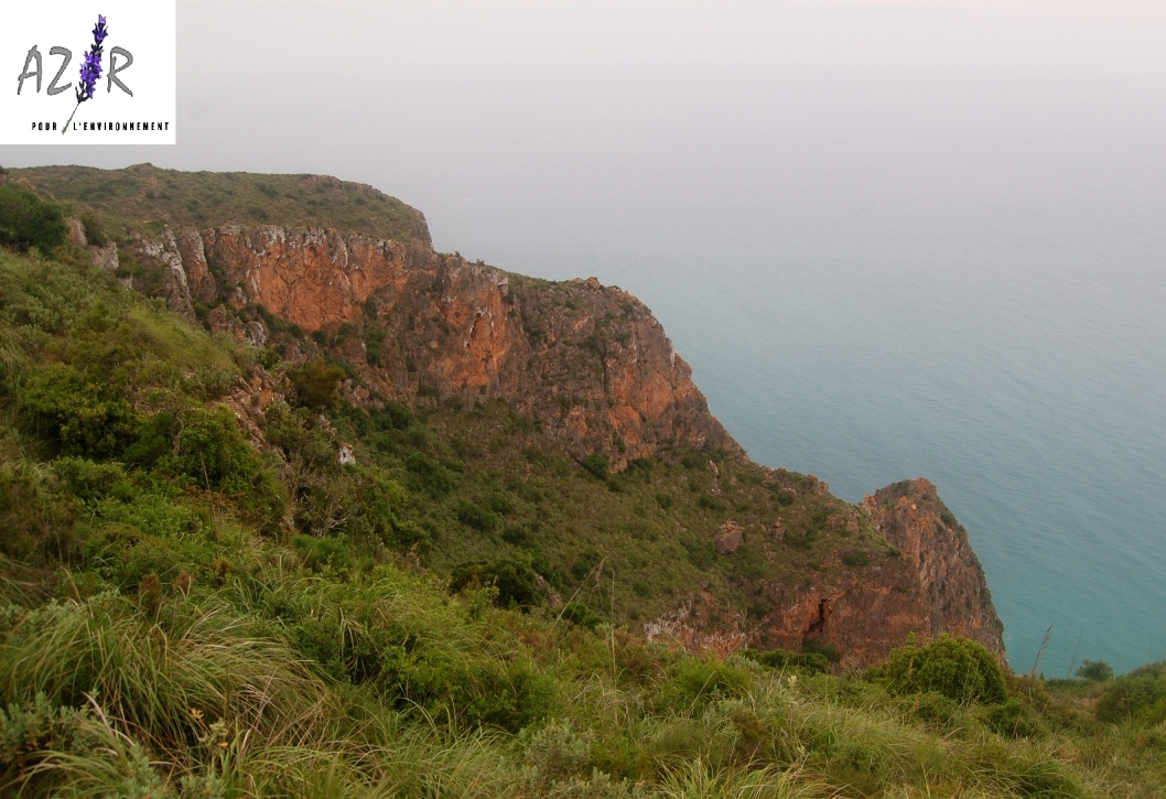 Rouadi 1 avant le feu