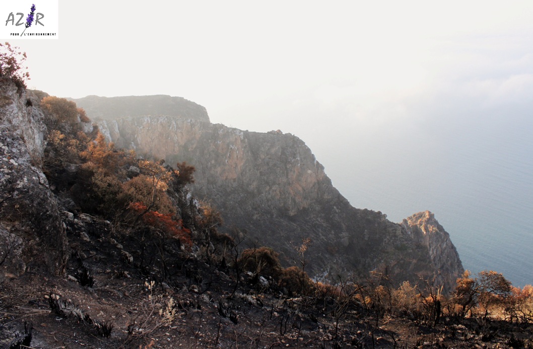 Rouadi 1 apr�s le feu