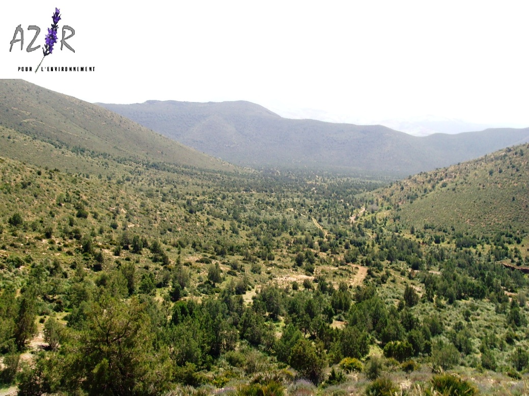 Rouadi 2 avant le feu