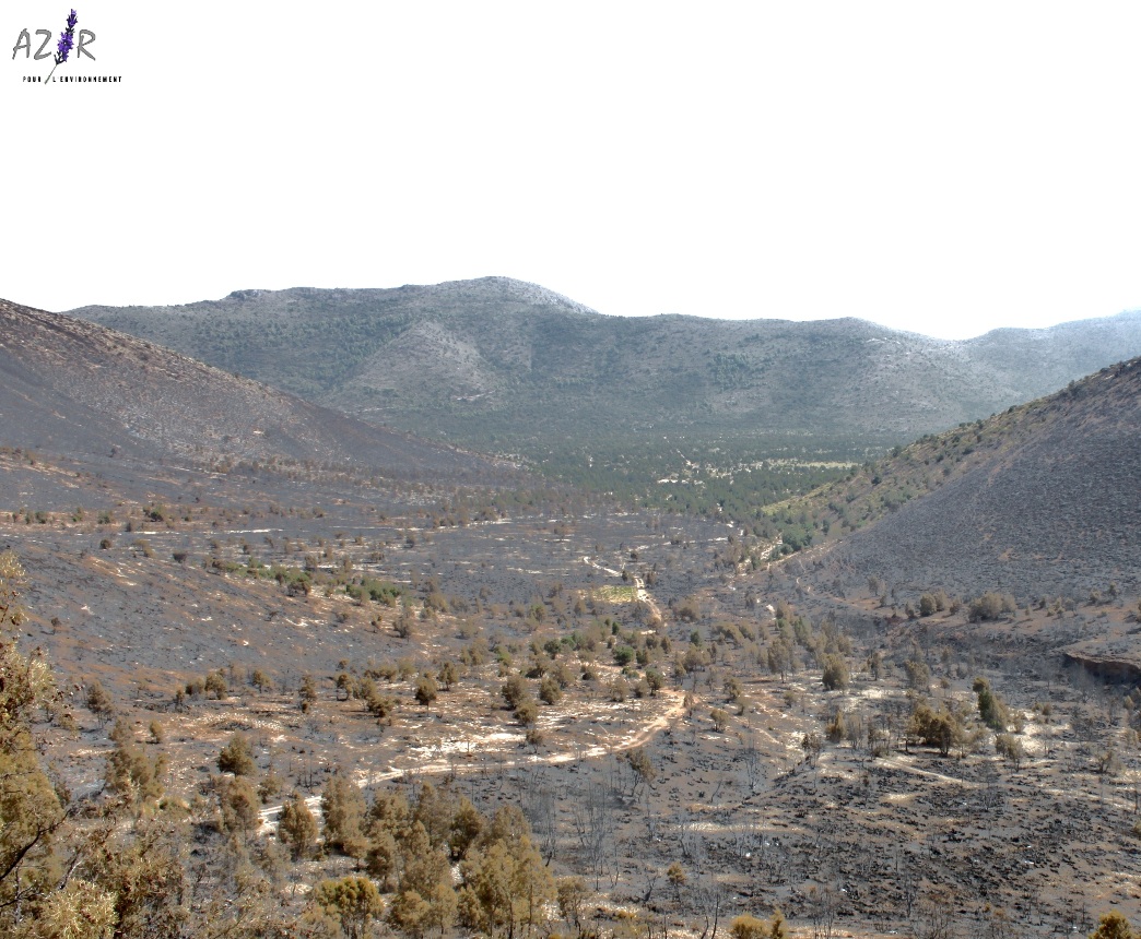 Rouadi 2 apr�s le feu