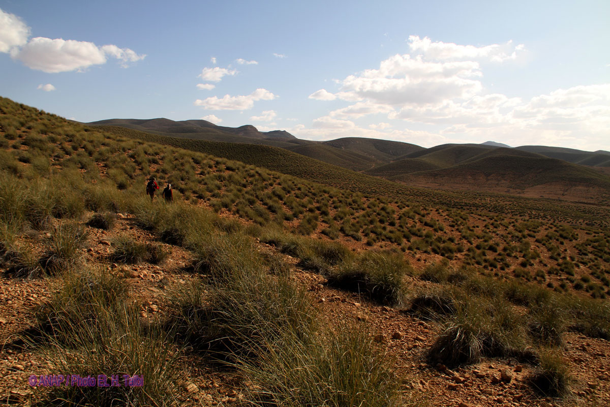 Environs de El Ghrass
