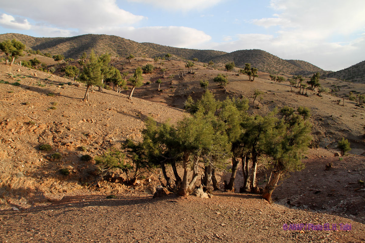 Environs de Sidi Ouzeyane