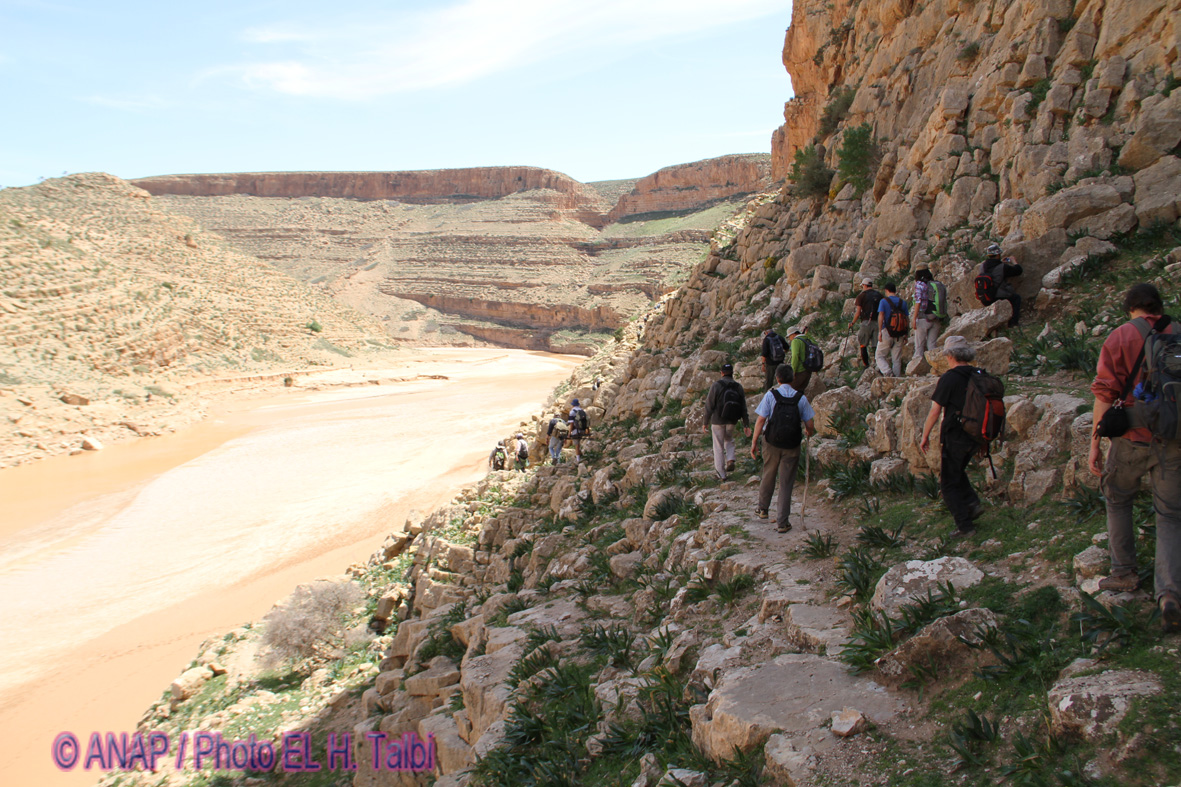 Oued Za c�t� sud 2