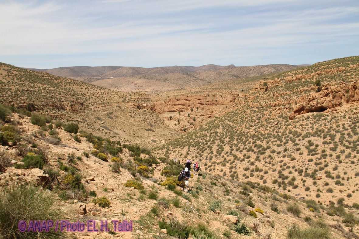 Pays des Oulad Amar : d�but de la Travers�e