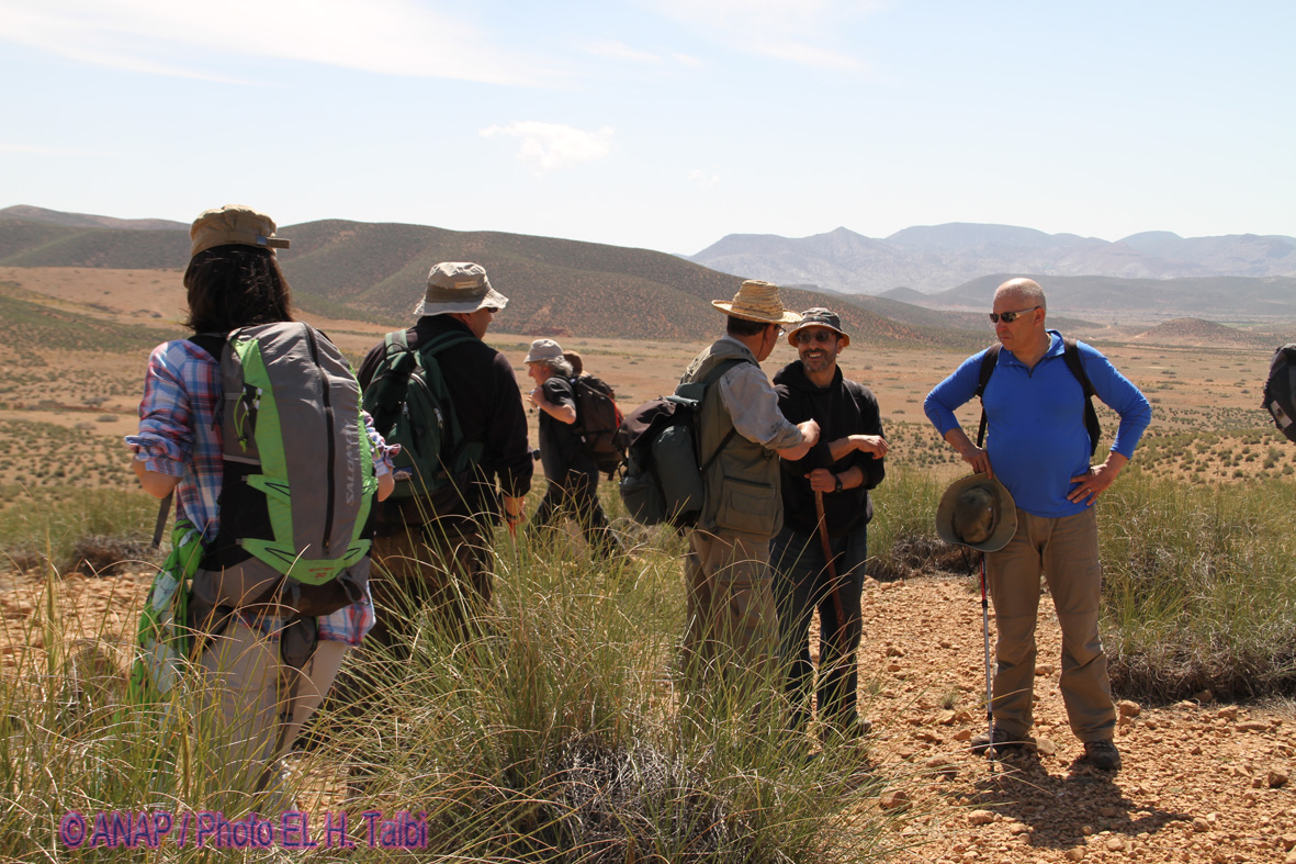 Pauses :: vues panoramiques