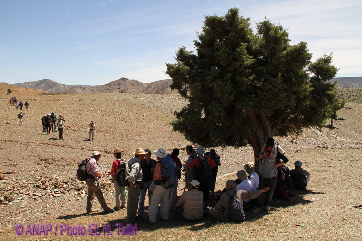 Poursuite de la marche � travers Jbel Abdoun