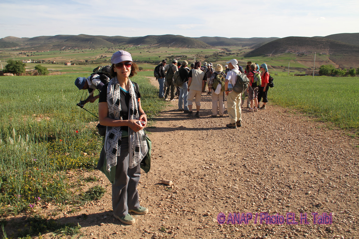 La plaine du c�t� de �fiya