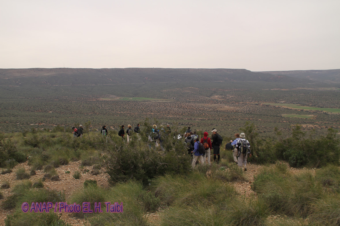 Paysages verdoyants avant Aouam