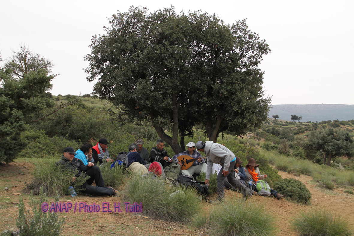 Pause discussion et ...