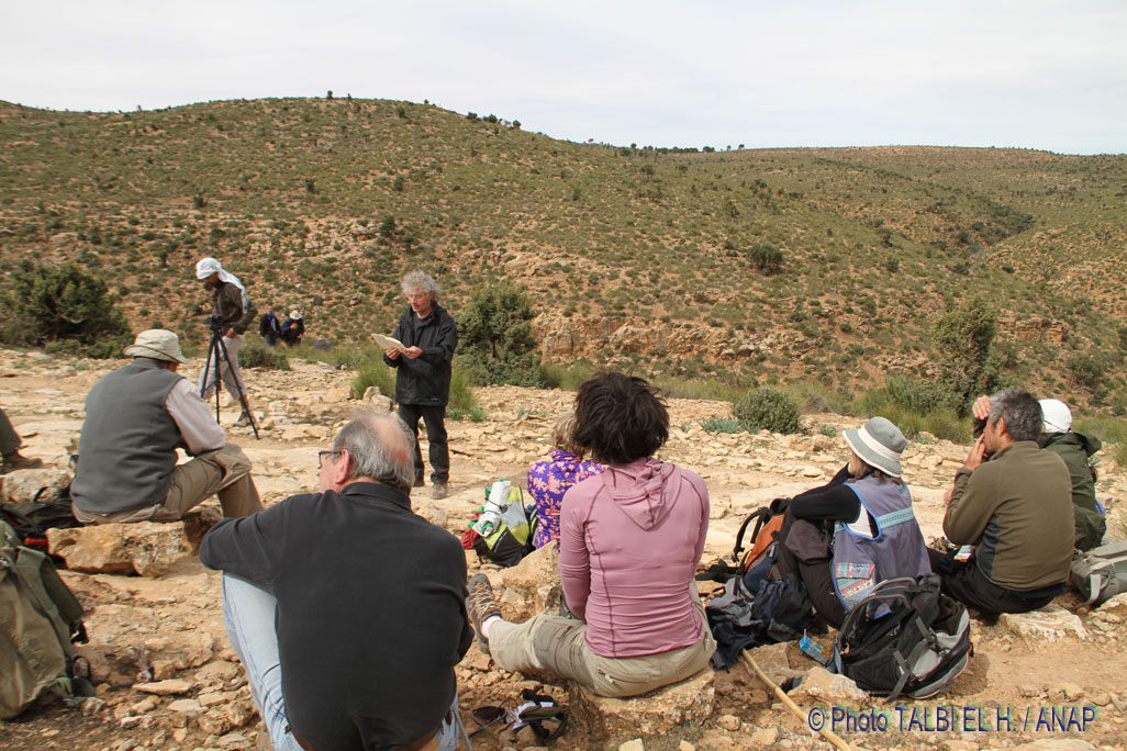 Pause culture : Jo�l Vernet