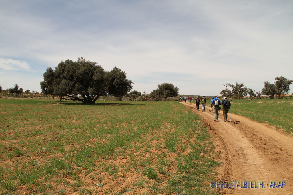 Paysages des hauteurs