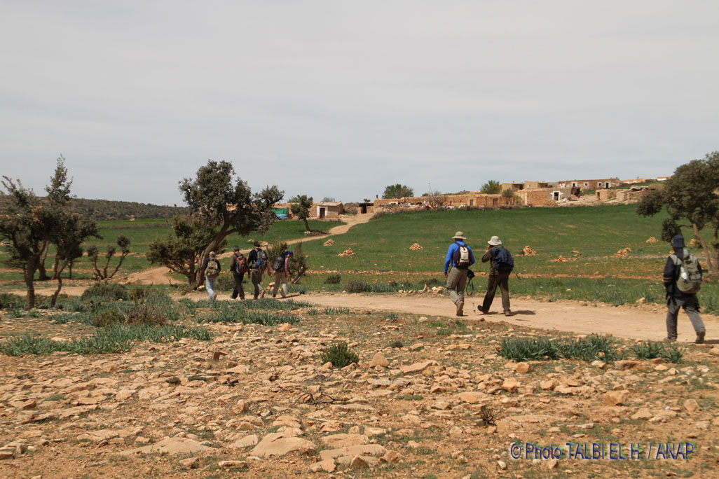 Paysages des hauteurs