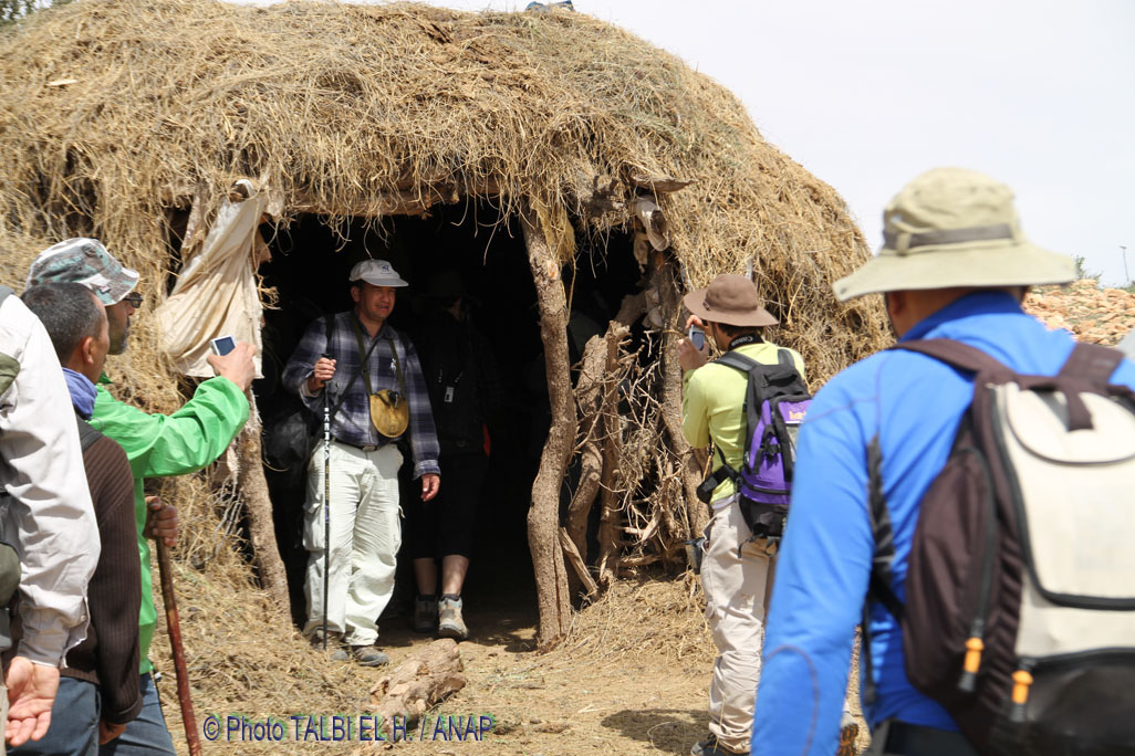 Paysages des hauteurs et autres choses