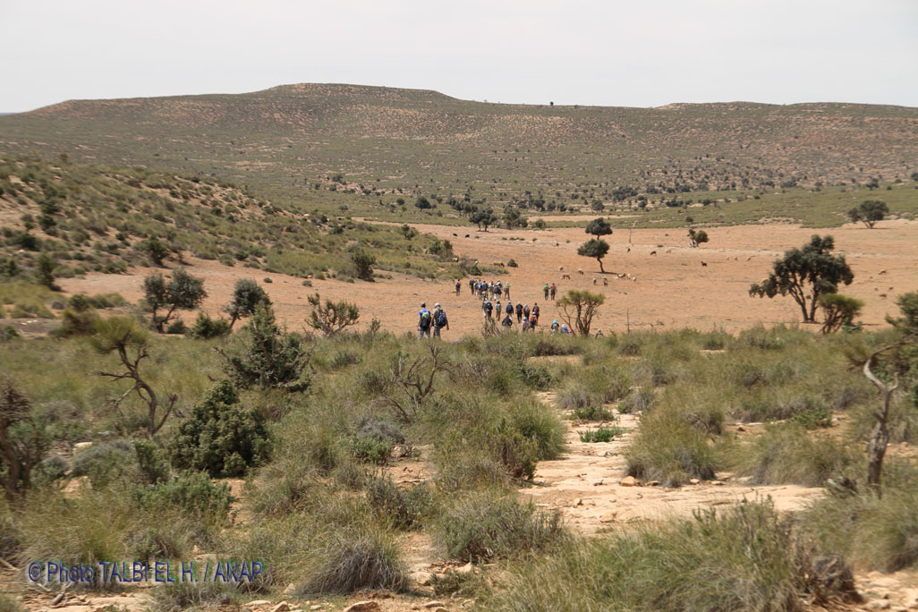 Paysages des hauteurs et autres choses