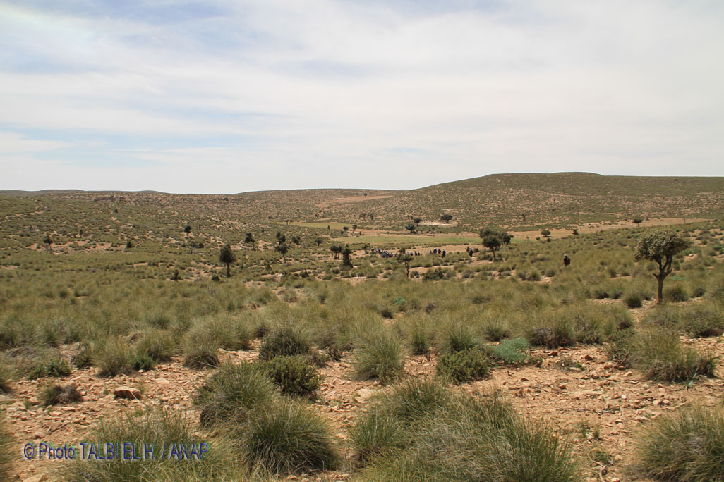 Paysages des hauteurs