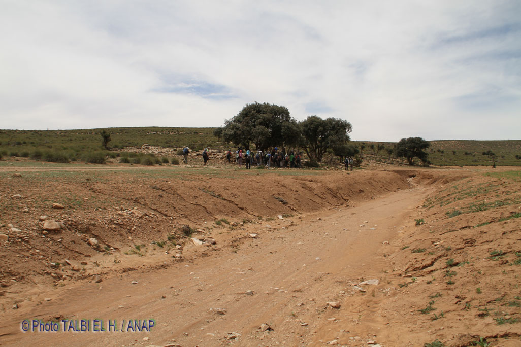 Pause d�jeuner sous ch�ne