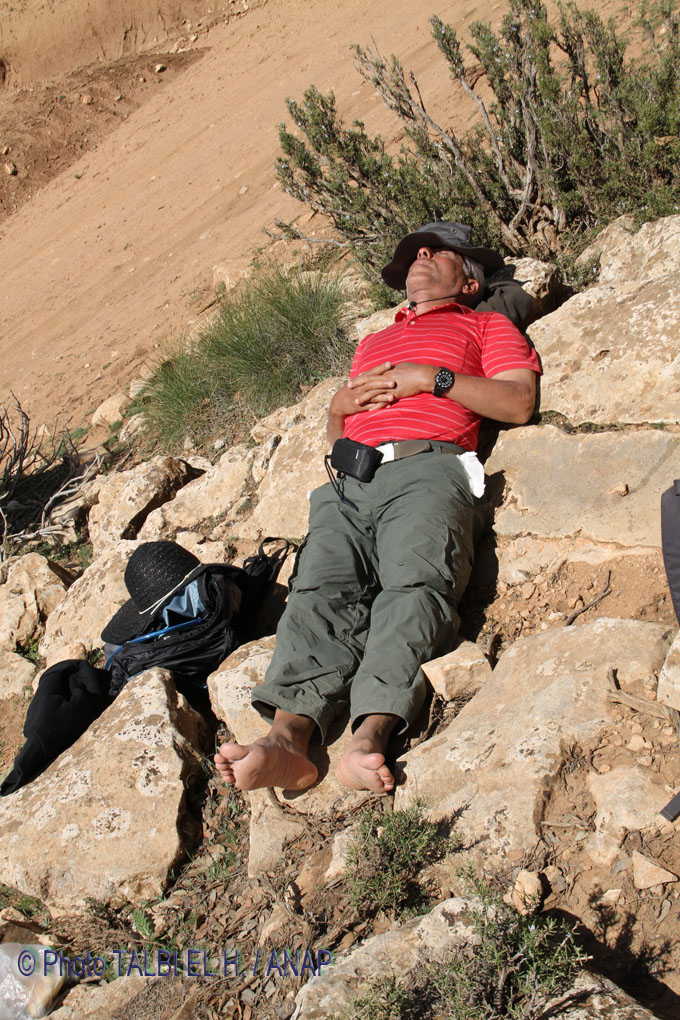 Vraie pause : Ahmed Hamdi