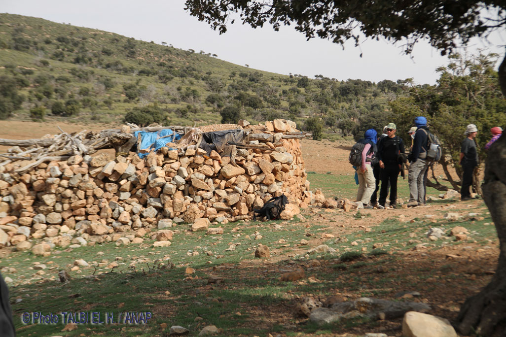 Marabout vers Ain Ichrafene