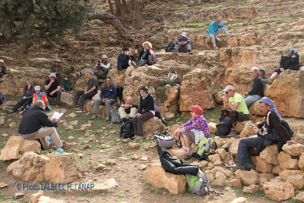 Pause lecture : J. Laeml�