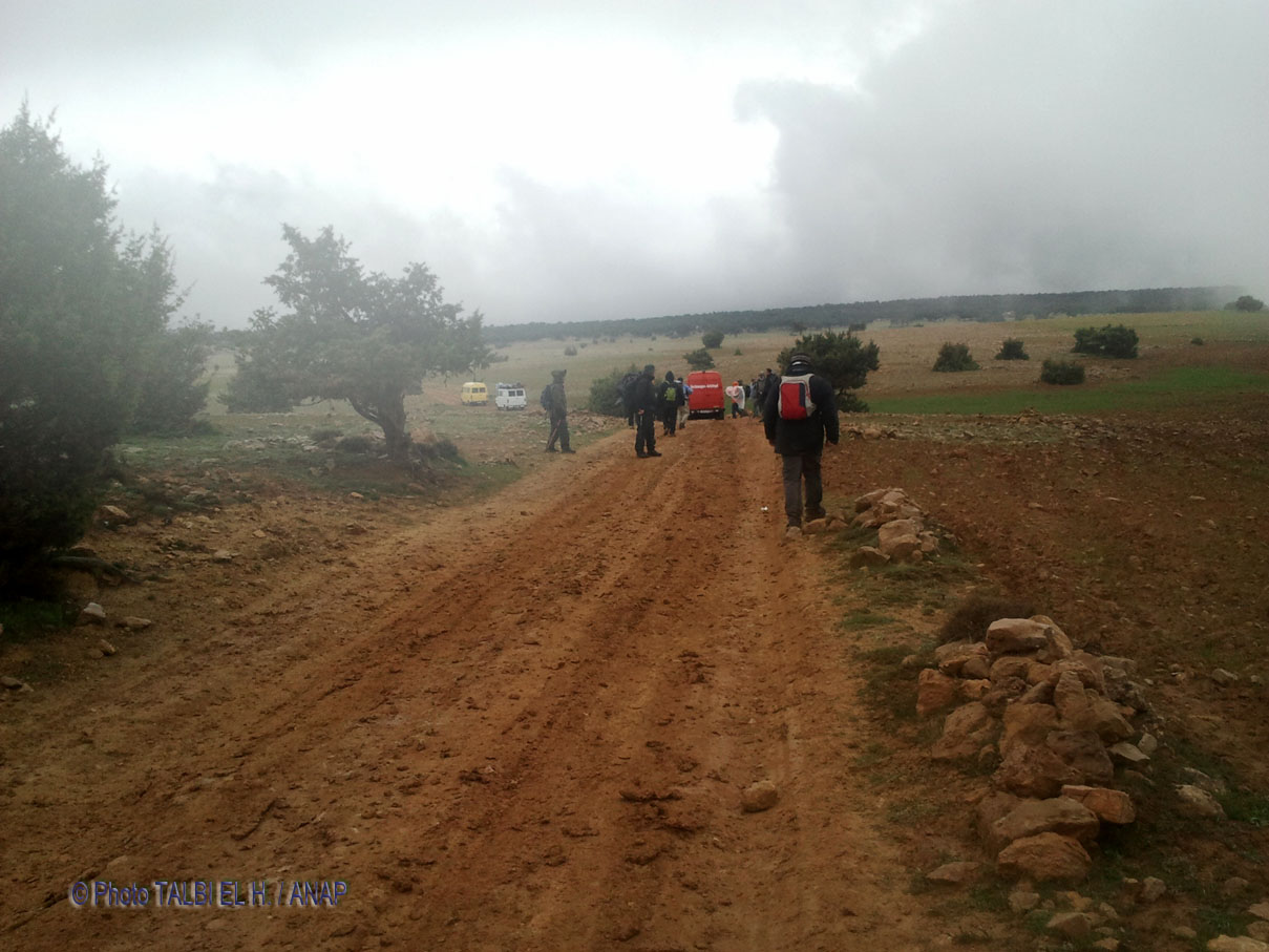 Avanc�e sous la pluie