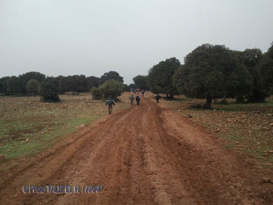 Derniers randonneurs � transf�rer