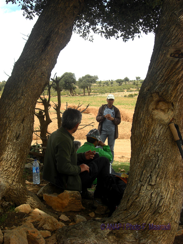 Culture scientifique : flore