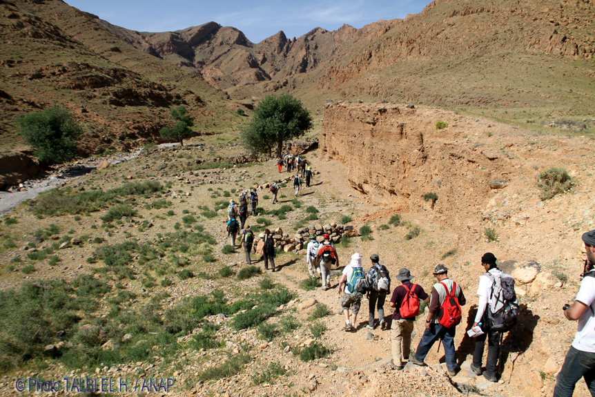 Escalade de Jbel Ma�z