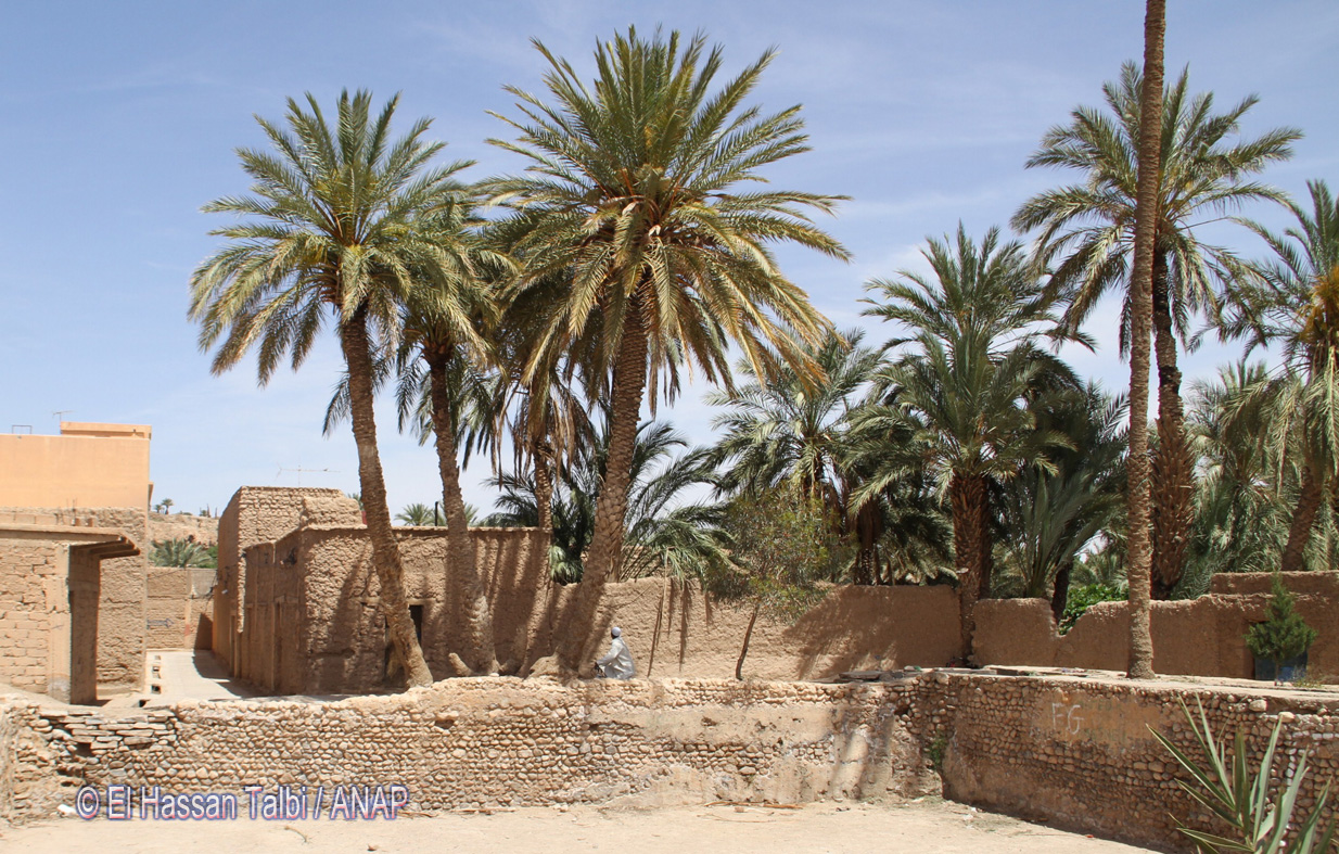 Patrimoine de Figuig