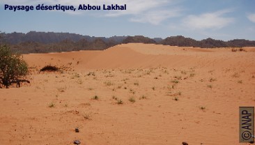 D�sert, Abbou Lakhal