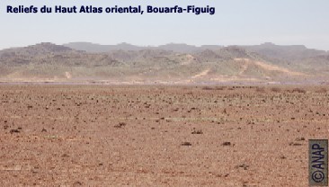 Reliefs Haut Atlas, Figuig