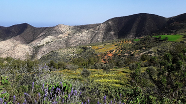 Oulad Daoud Zekhanine